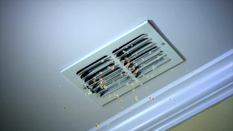 Best Home Air Vent Cleaning  in Osceola, WI
